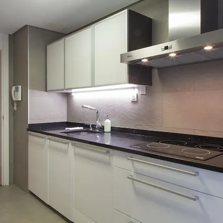 Apartment Plaza Euskadi *